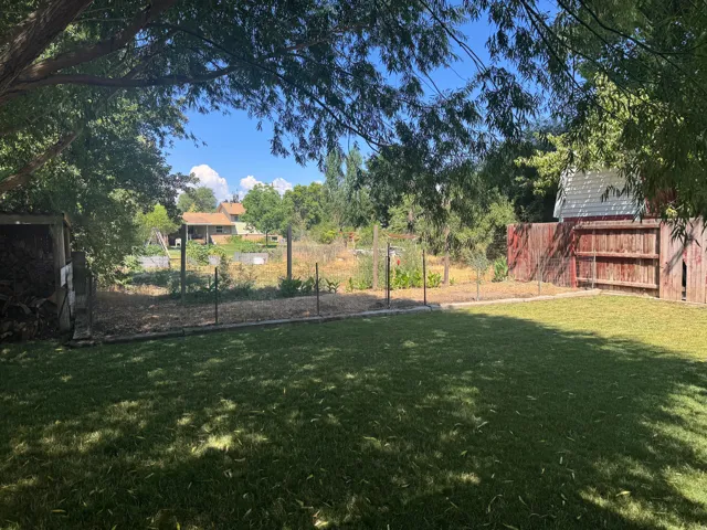 Expansive backyard featuring a manicured lawn, established perimeter fencing, and mature trees providing natural shade