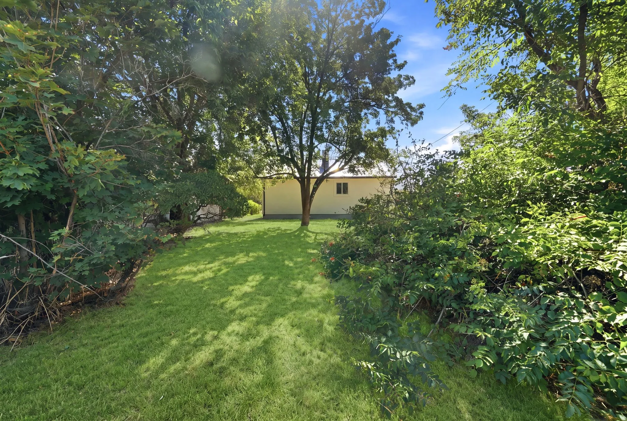 Expansive yard with mature trees and established shrubbery
