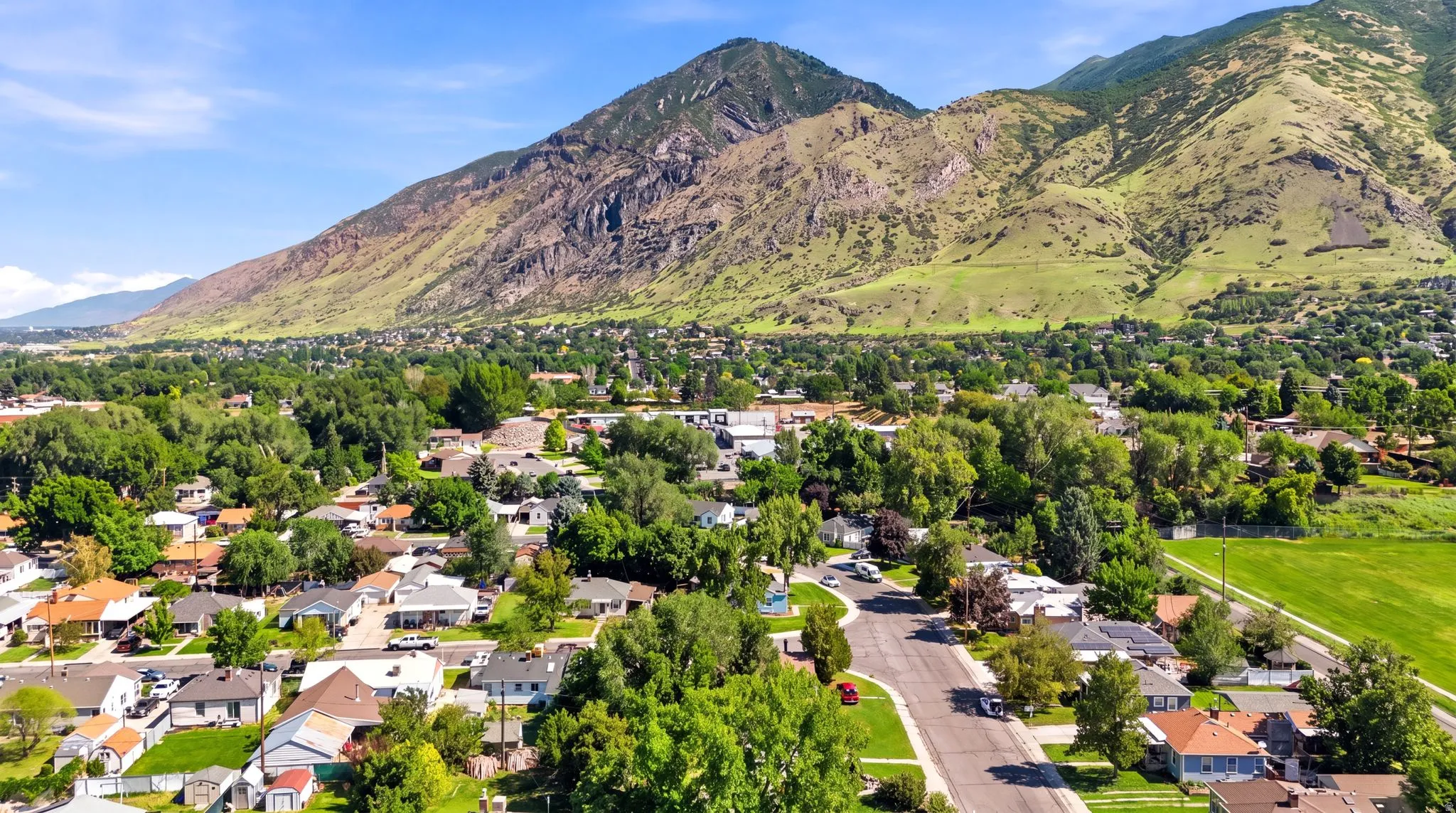 Established neighborhood featuring mature trees and a paved street