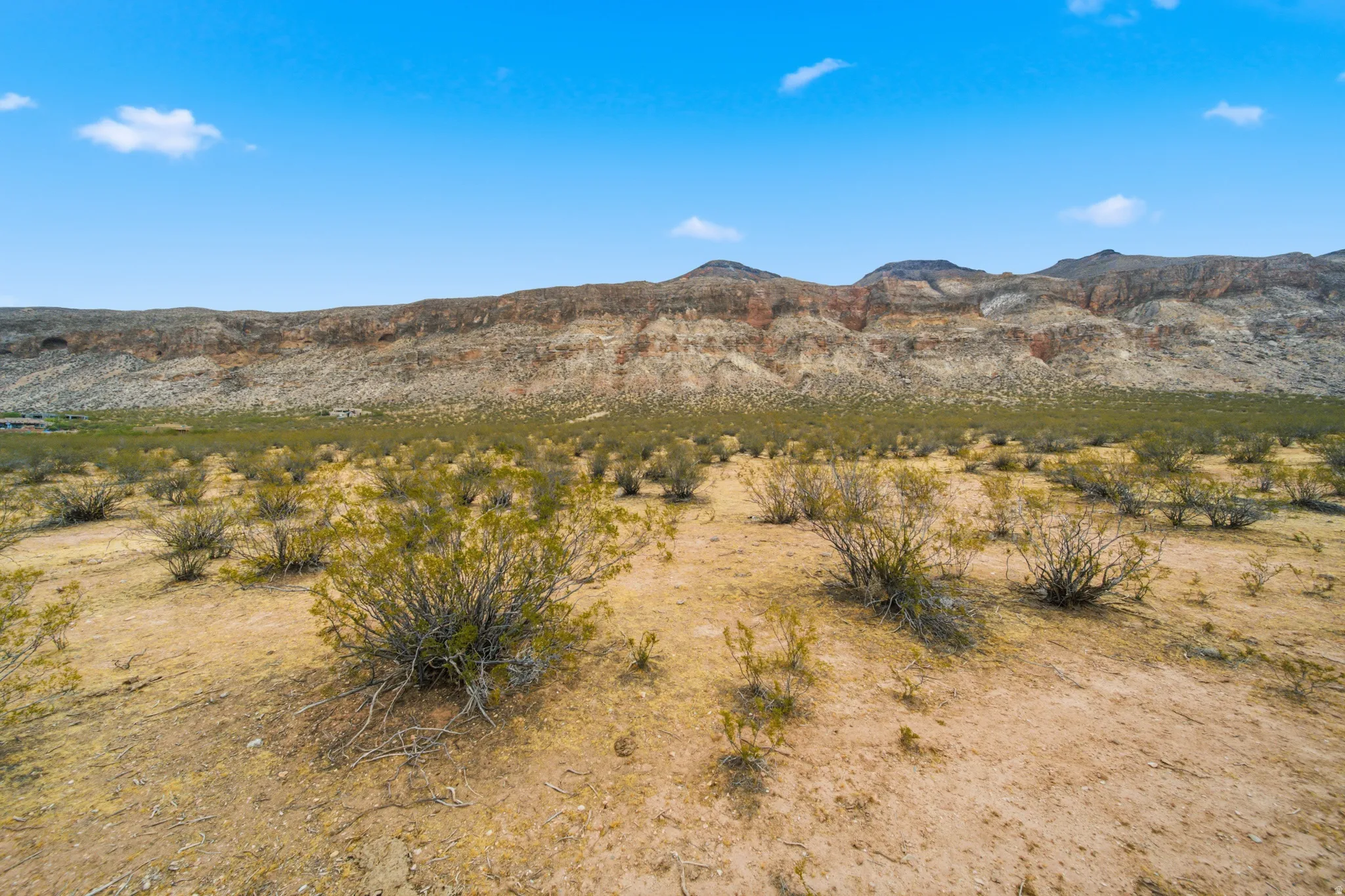 Expansive desert landscape with natural flora, featuring a distant mountain range and a clear blue sky