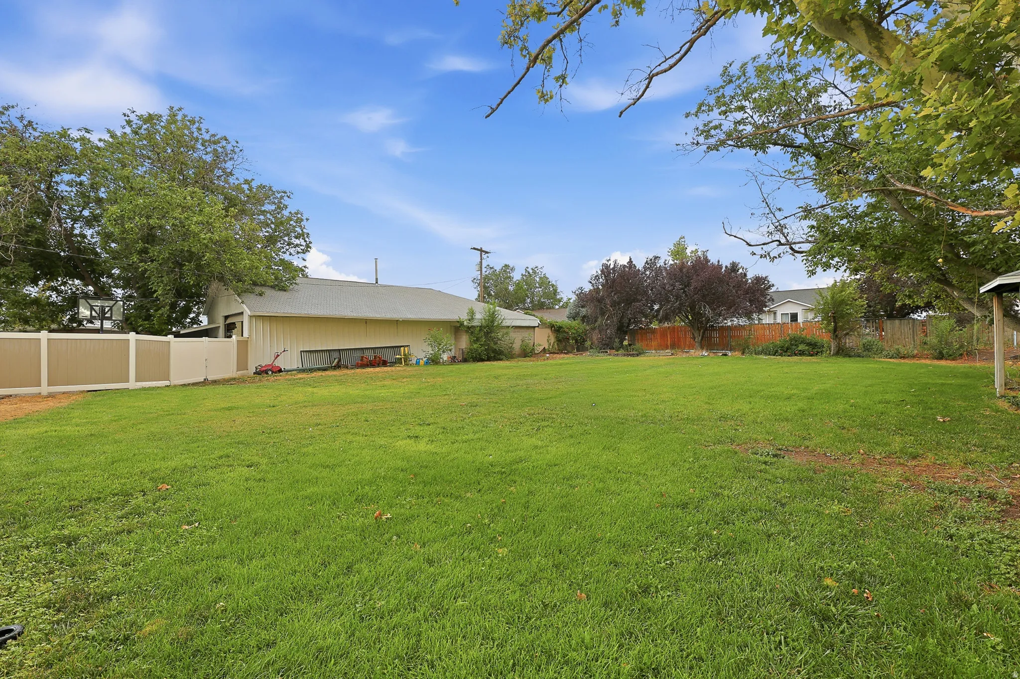 Backyard