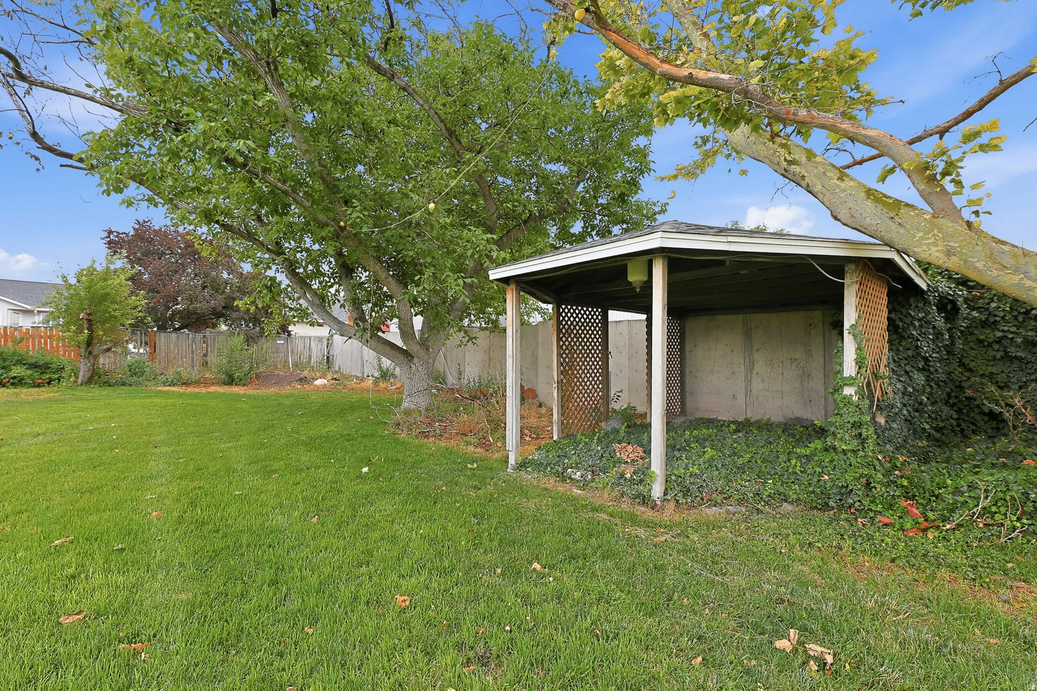 Backyard with covered area