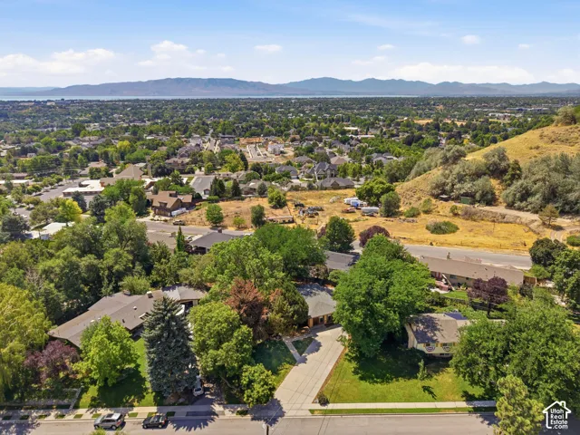Aerial perspective showcasing a residential area with varied rooflines and extensive tree cover