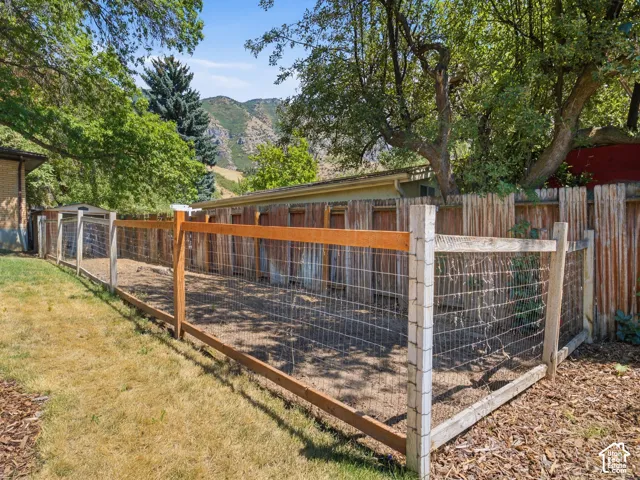 Dog/chicken run