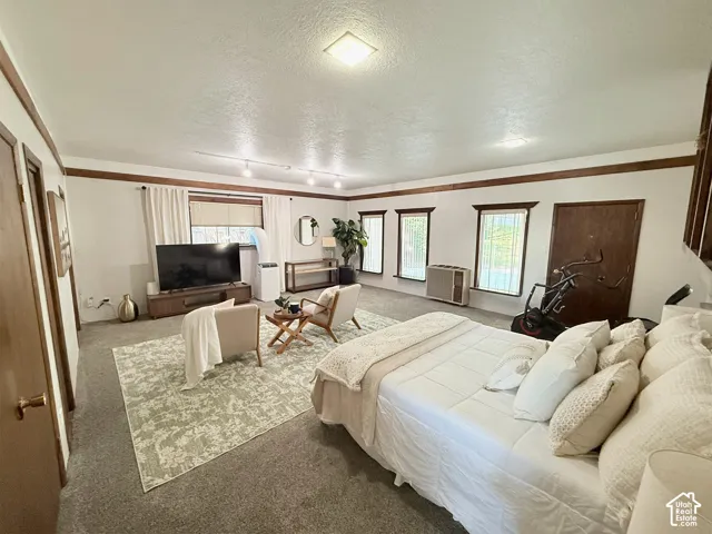 Primary bedroom with ensuite bathroom