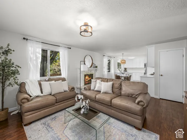 Combined family, kitchen, dining room