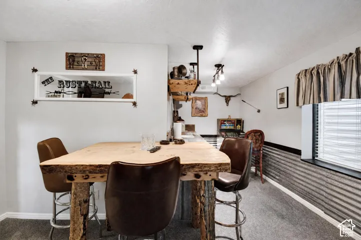 Basement entertaining lounge