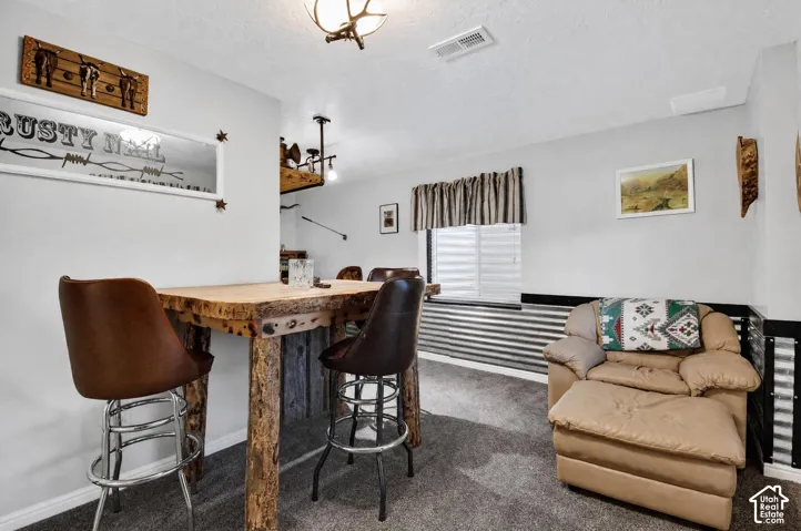 Basement entertaining lounge