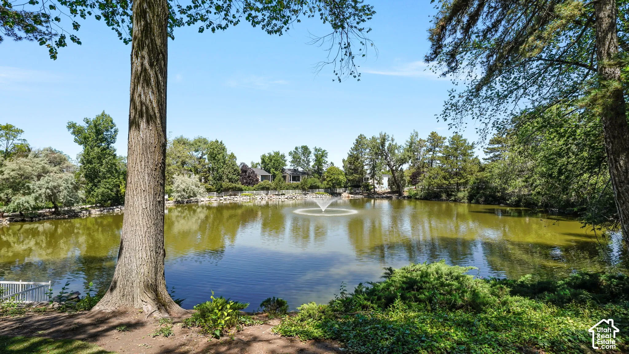 Expansive pond with a central fountain feature, surrounded by mature trees and lush greenery