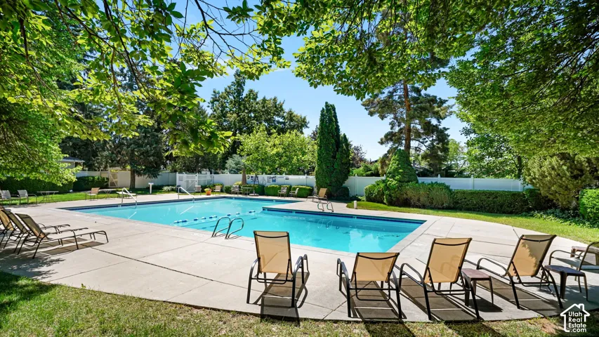 Lexington pool: rectangular in-ground swimming pool surrounded by a concrete deck and lush green landscaping