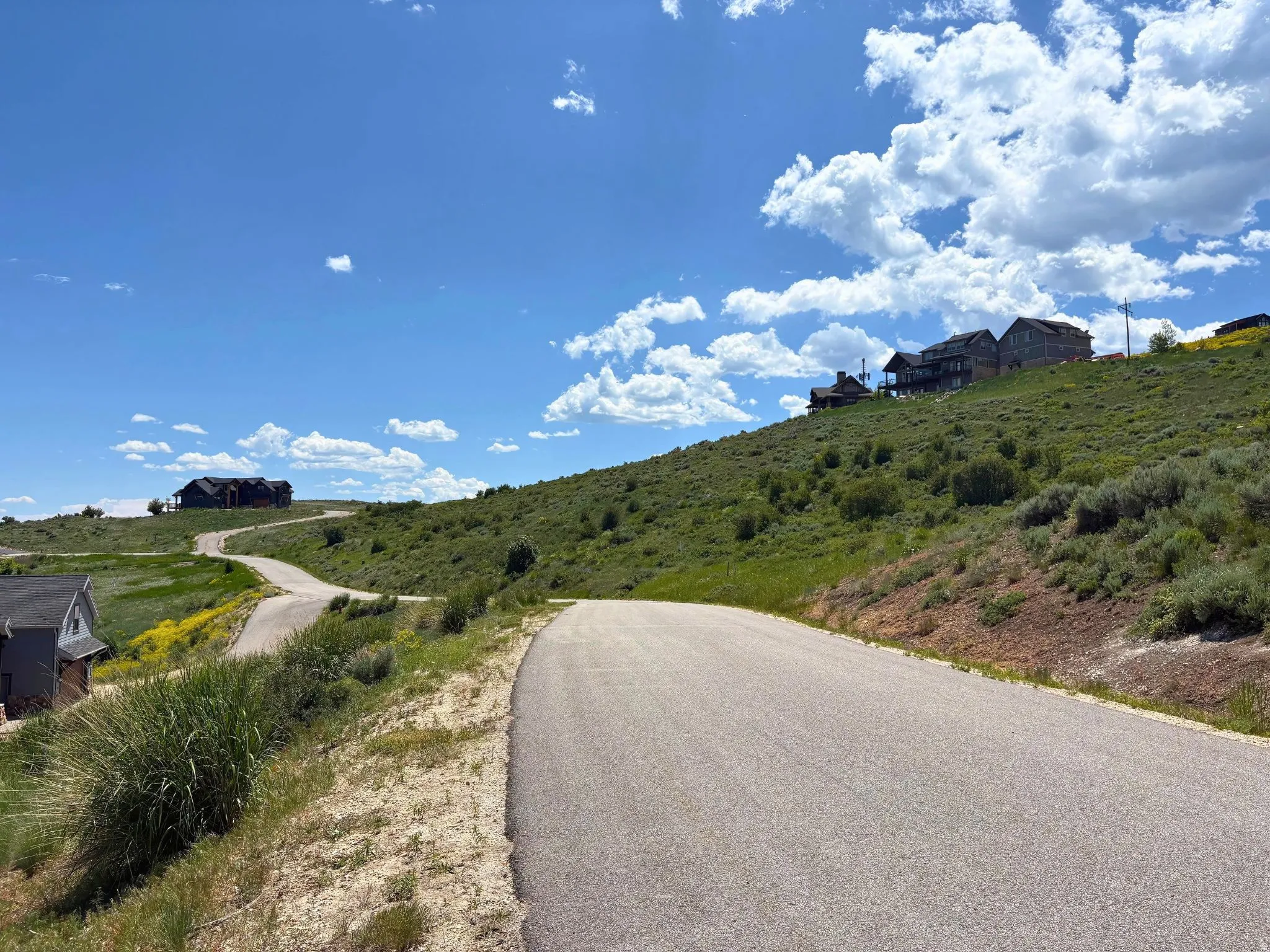 Winding paved road ascending a hillside, bordered by natural landscaping and distant properties