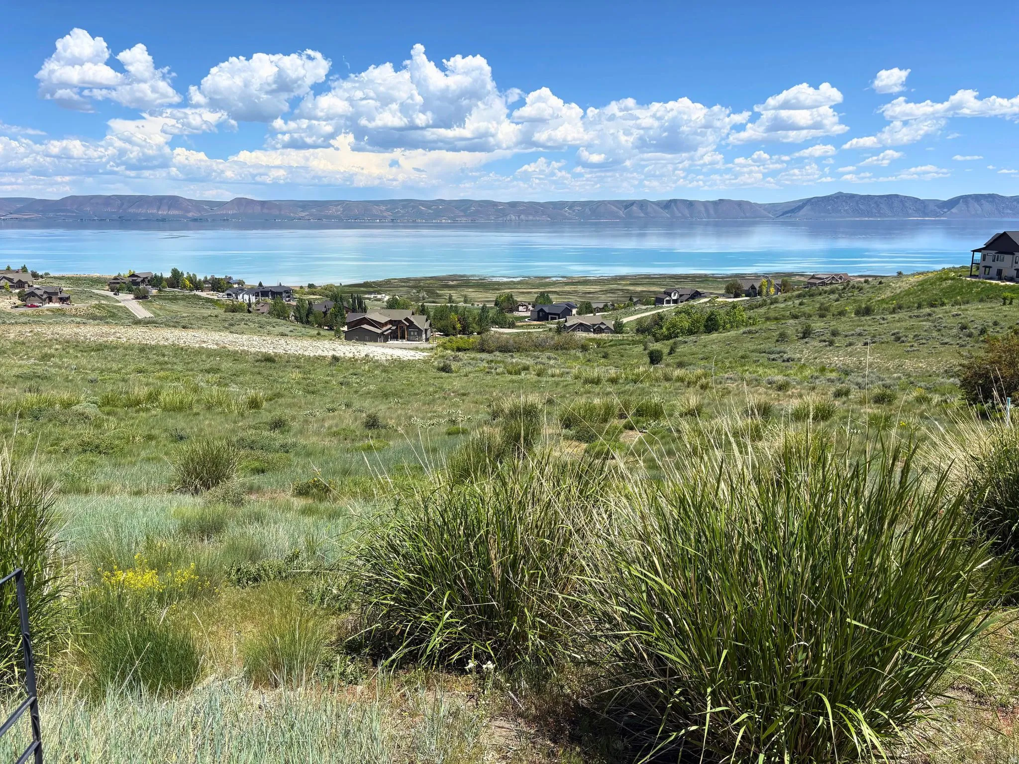 Expansive hillside property featuring diverse natural vegetation, distant mountain range, and extensive water body