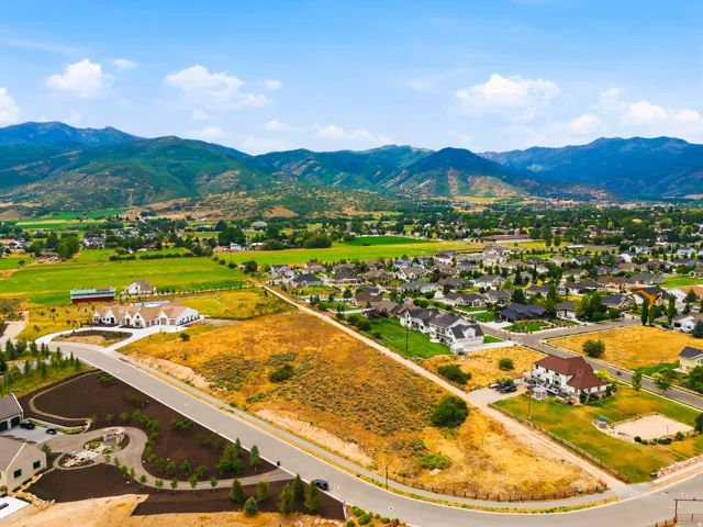 Aerial perspective showcasing a residential community with single-family homes, established landscaping, and paved roads