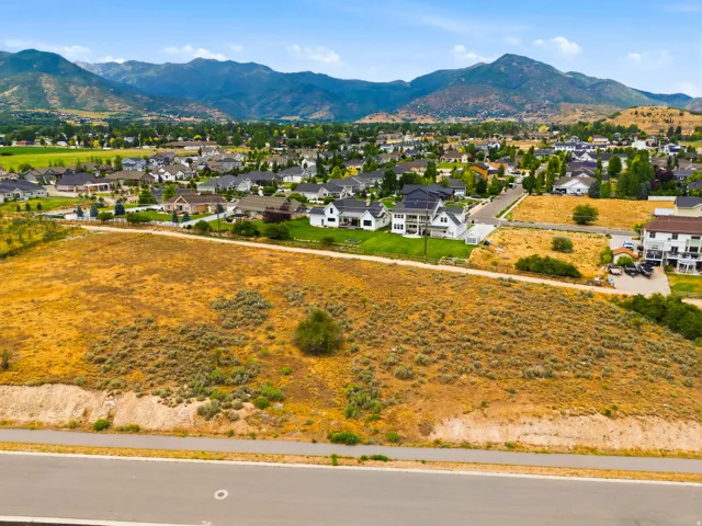 Expansive undeveloped parcel featuring natural vegetation and a visible paved road frontage