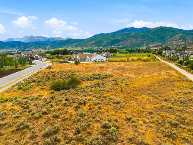 Expansive undeveloped land featuring natural shrubbery and a mountainous backdrop