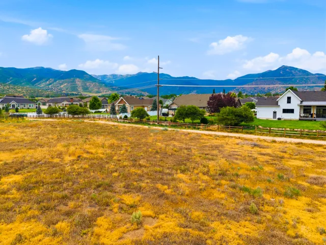 Expansive undeveloped land featuring natural flora