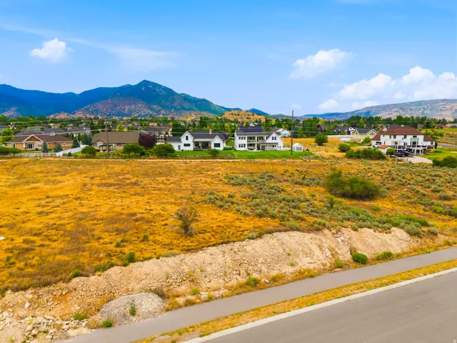 Expansive undeveloped land featuring natural flora and a paved roadway