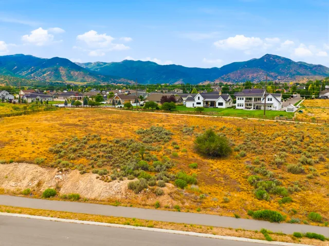 Expansive undeveloped lot featuring natural shrubbery and a clear, level building area