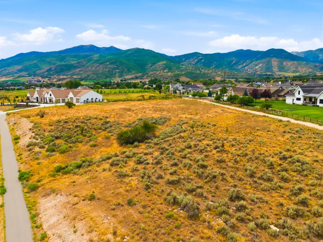 Expansive land parcel featuring natural shrubbery and a paved road bordering the property