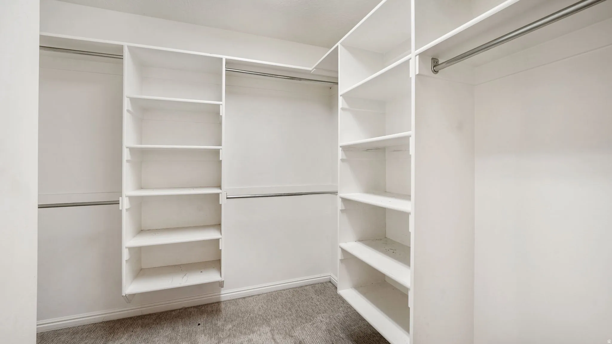Walk-in closet featuring built-in white shelving, multiple hanging rods, white baseboards, and neutral carpet flooring