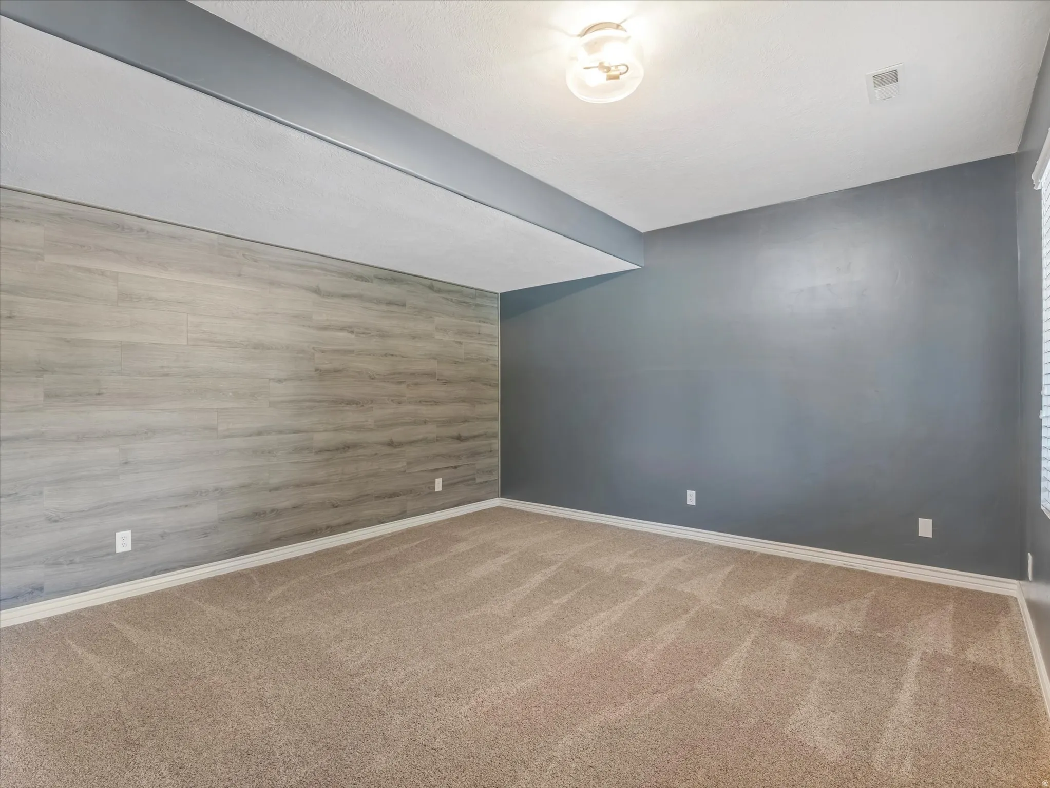 Spacious room featuring a light wood-finish accent wall, neutral carpeting, and contemporary gray paint