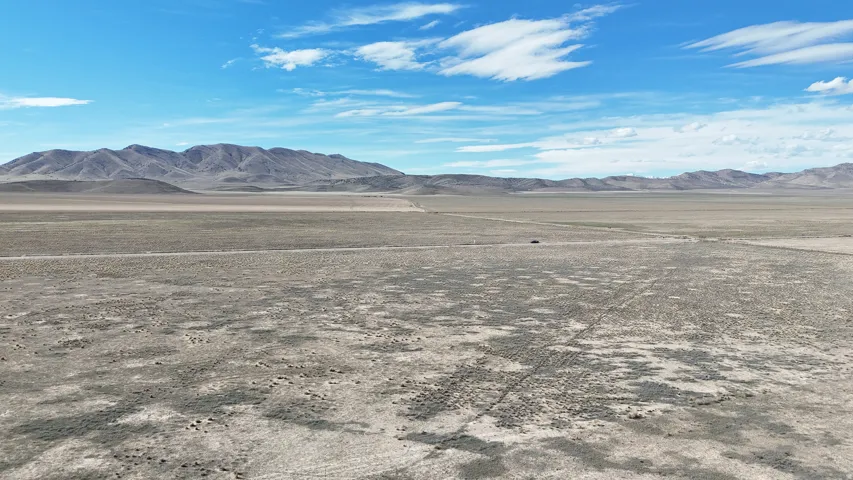 Vast open land featuring natural desert vegetation