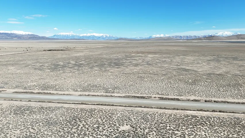 Expansive desert landscape with a distant snow-capped mountain range under a clear blue sky