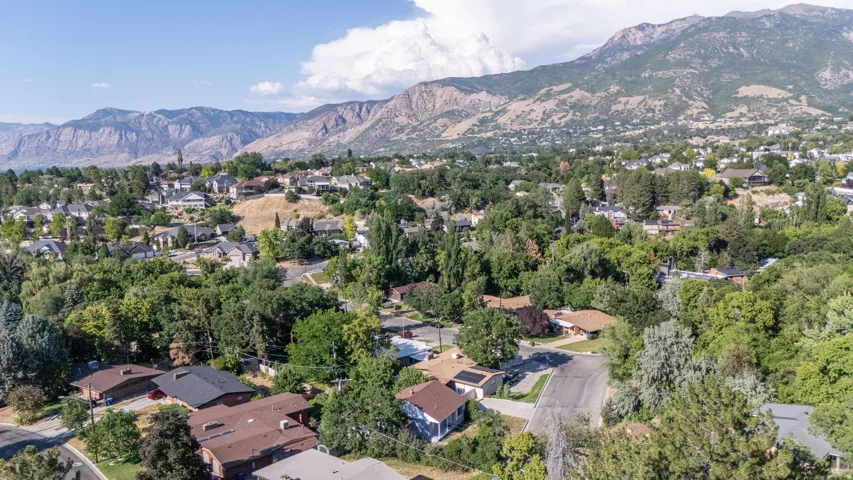 Mountain Views