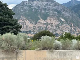 Mountain backdrop with varied terrain, featuring mature evergreen trees and arid-climate foliage