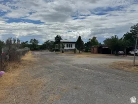 Gravel driveway leading to a white-sided residence with dark trim windows, surrounded by mature trees and natural landscaping