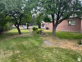 Expansive grassy yard with mature trees