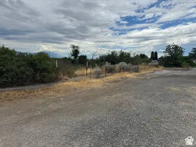 Gravel lot with mature perimeter foliage