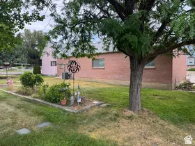 Expansive lawn area featuring a mature shade tree, shrubbery, and a defined planting bed