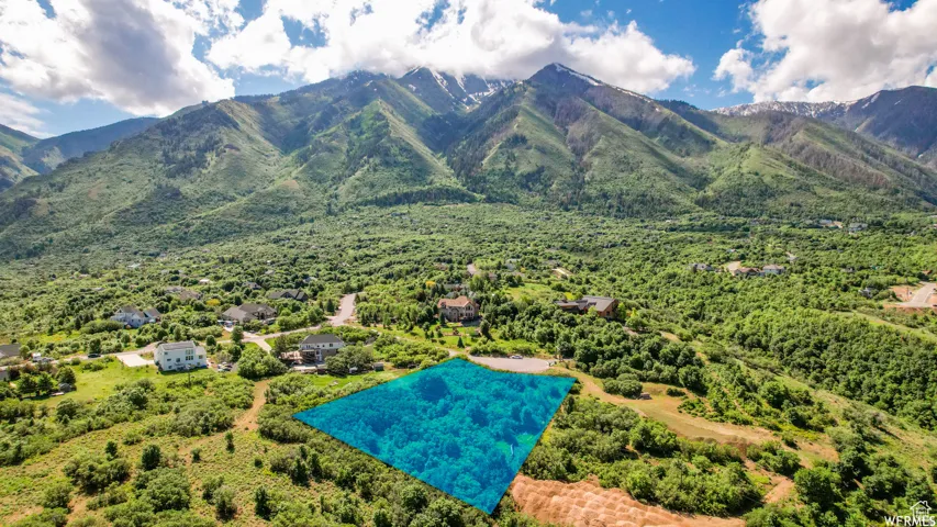 Expansive lot highlighted in blue, surrounded by lush green foliage and mature trees