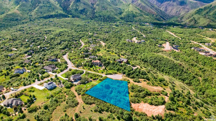 Expansive land parcel highlighted in blue, surrounded by mature trees and verdant hillsides