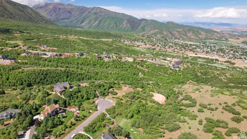 Expansive mountain landscape with diverse foliage and residential development