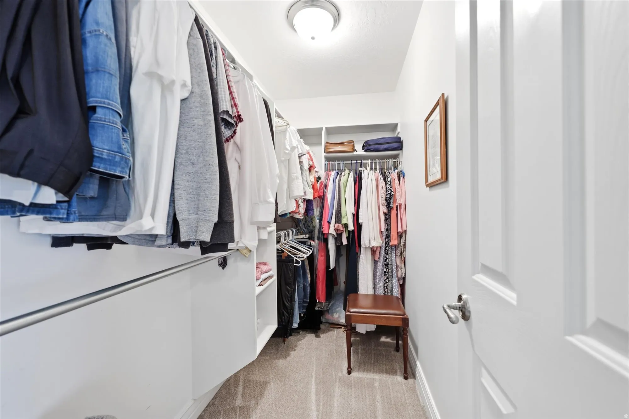Primary bedroom Walk-in closet with carpet flooring, white built-in shelving, chrome hanging rods, and an overhead flush-mount light fixture