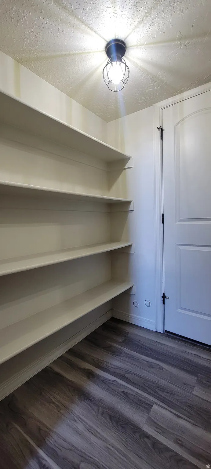Pantry featuring extensive built-in shelving, wood-finish flooring, and a ceiling-mounted fixture