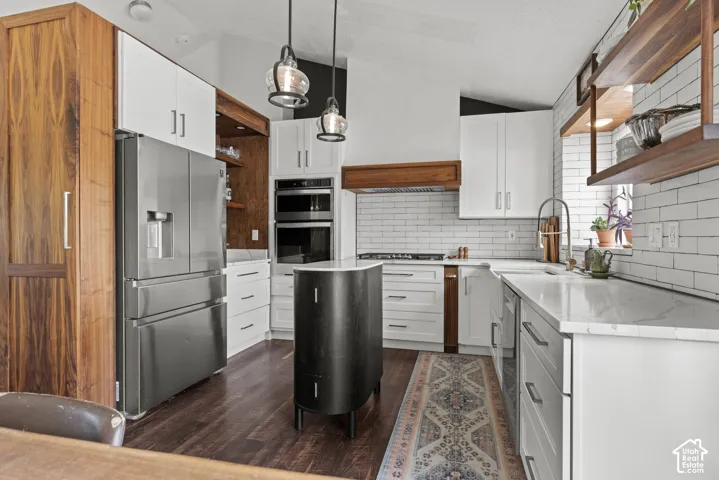 Contemporary kitchen featuring a vaulted ceiling and dark wood-finish flooring