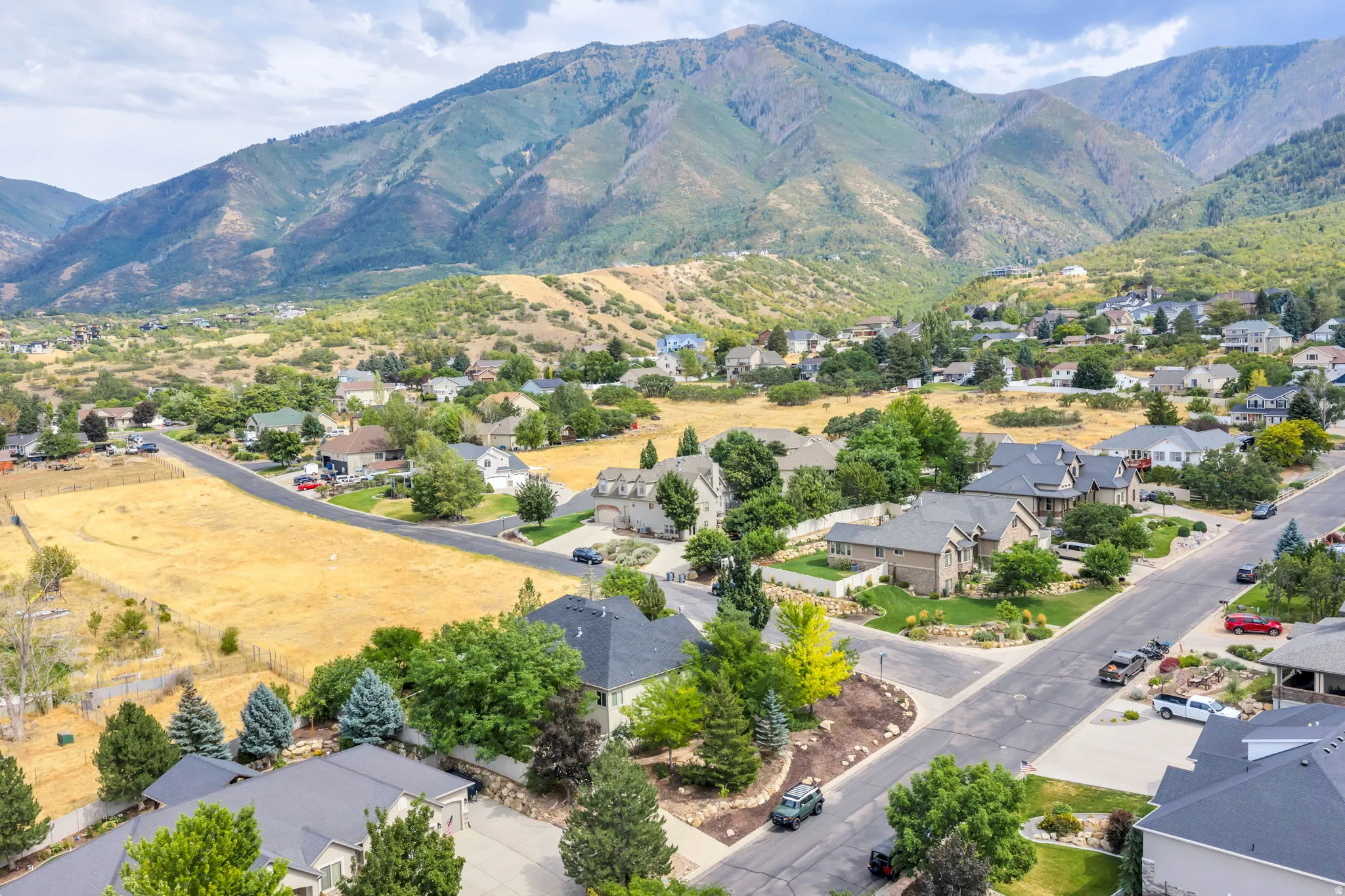 Residential development featuring mature landscaping and paved roadways