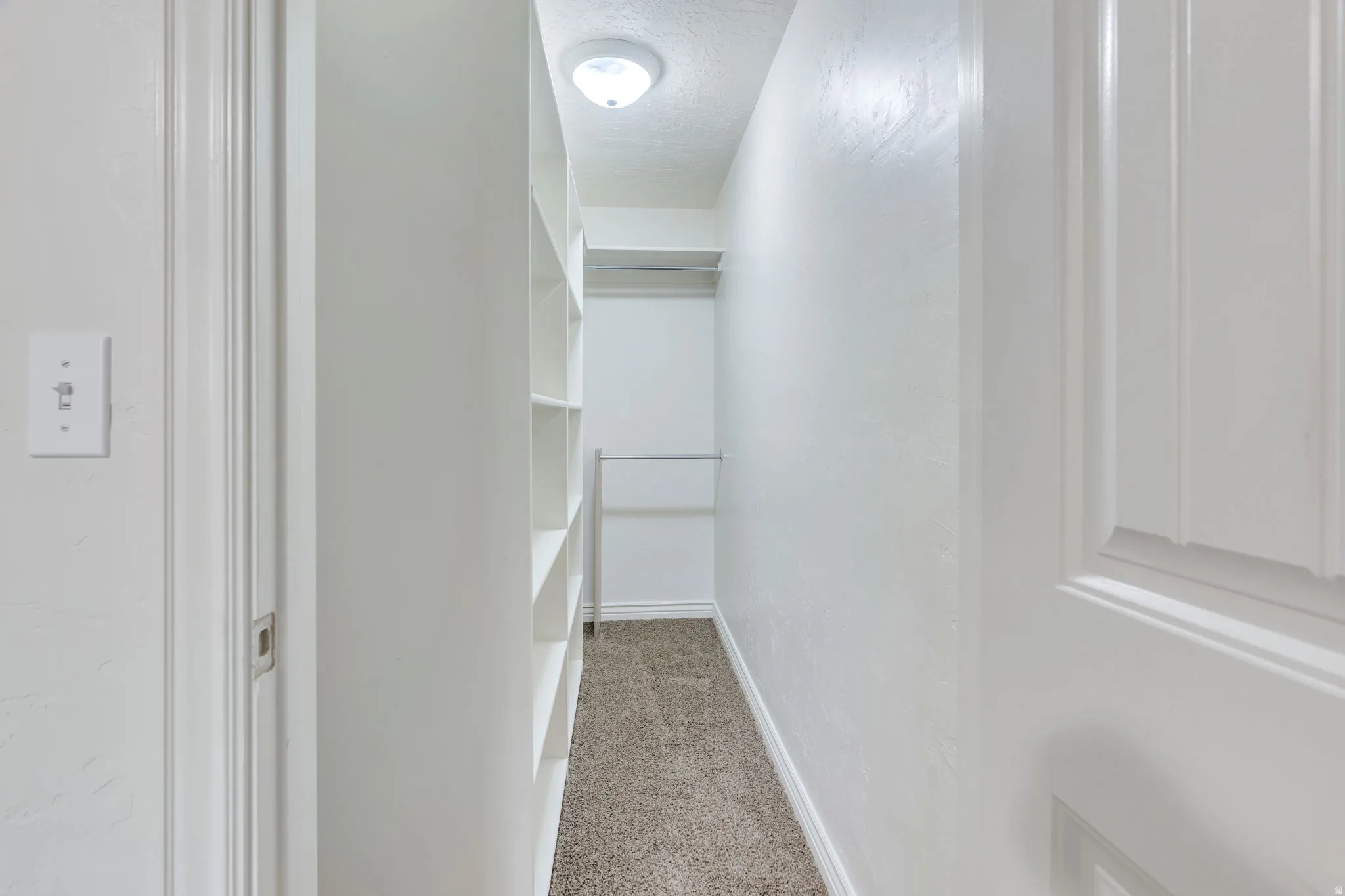Built-in shelving, flush-mount ceiling light, and wall-to-wall carpeting