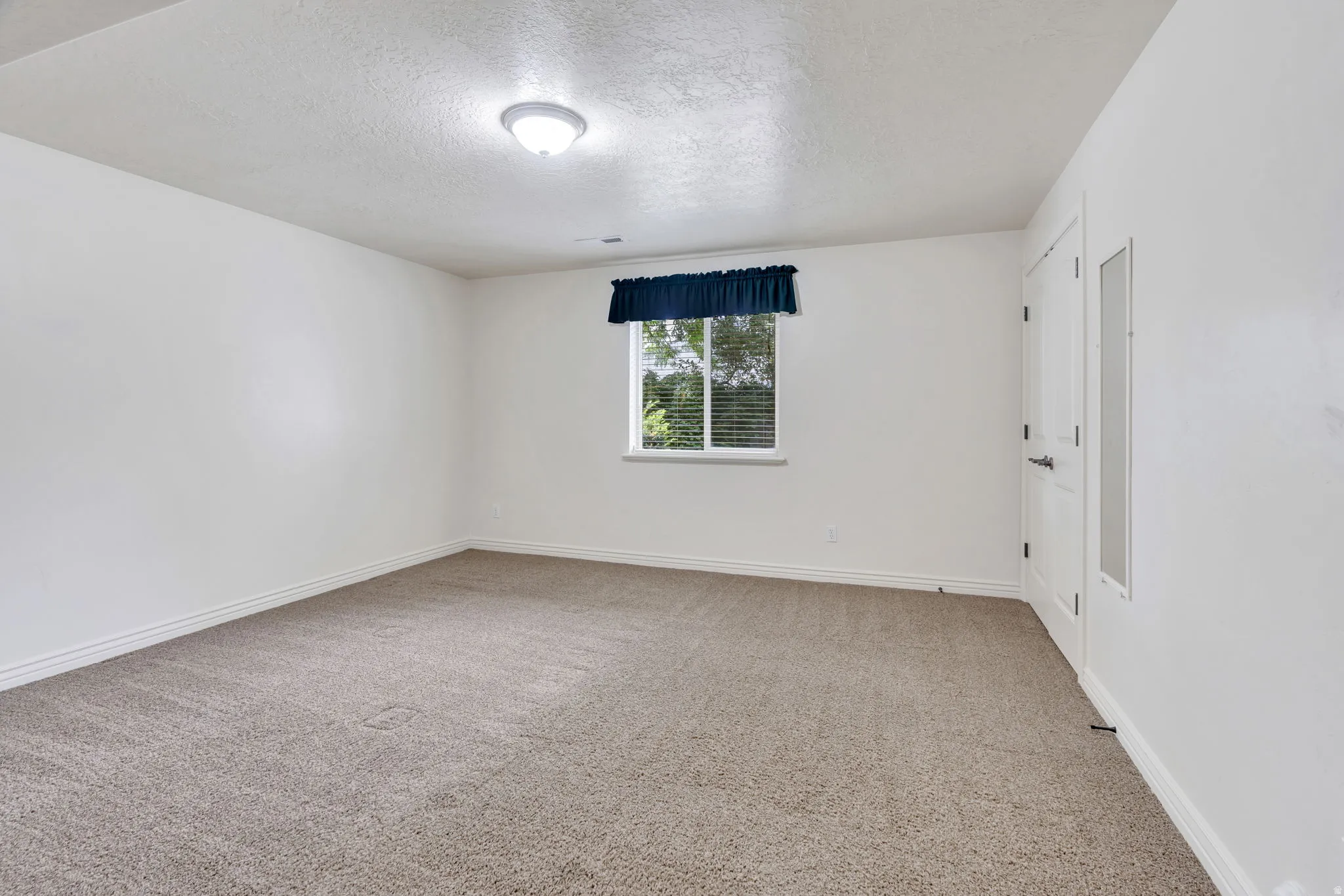 Neutral tone carpeting with white trim
