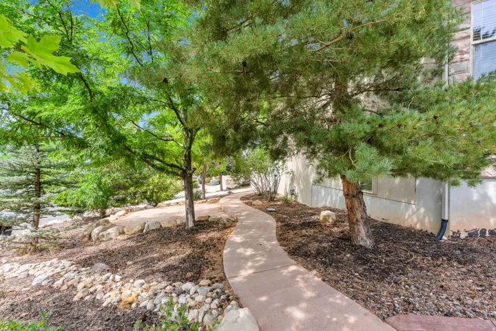 Curved concrete pathway bordered by mature trees and natural rock landscaping