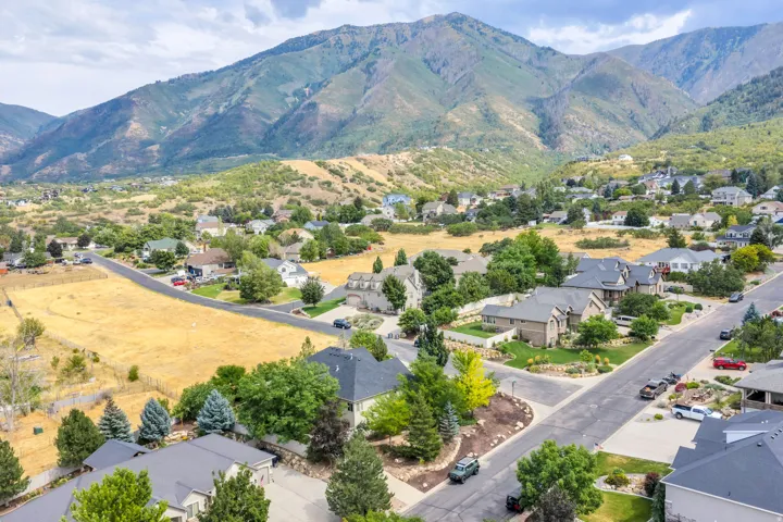 Residential development featuring mature landscaping and paved roadways