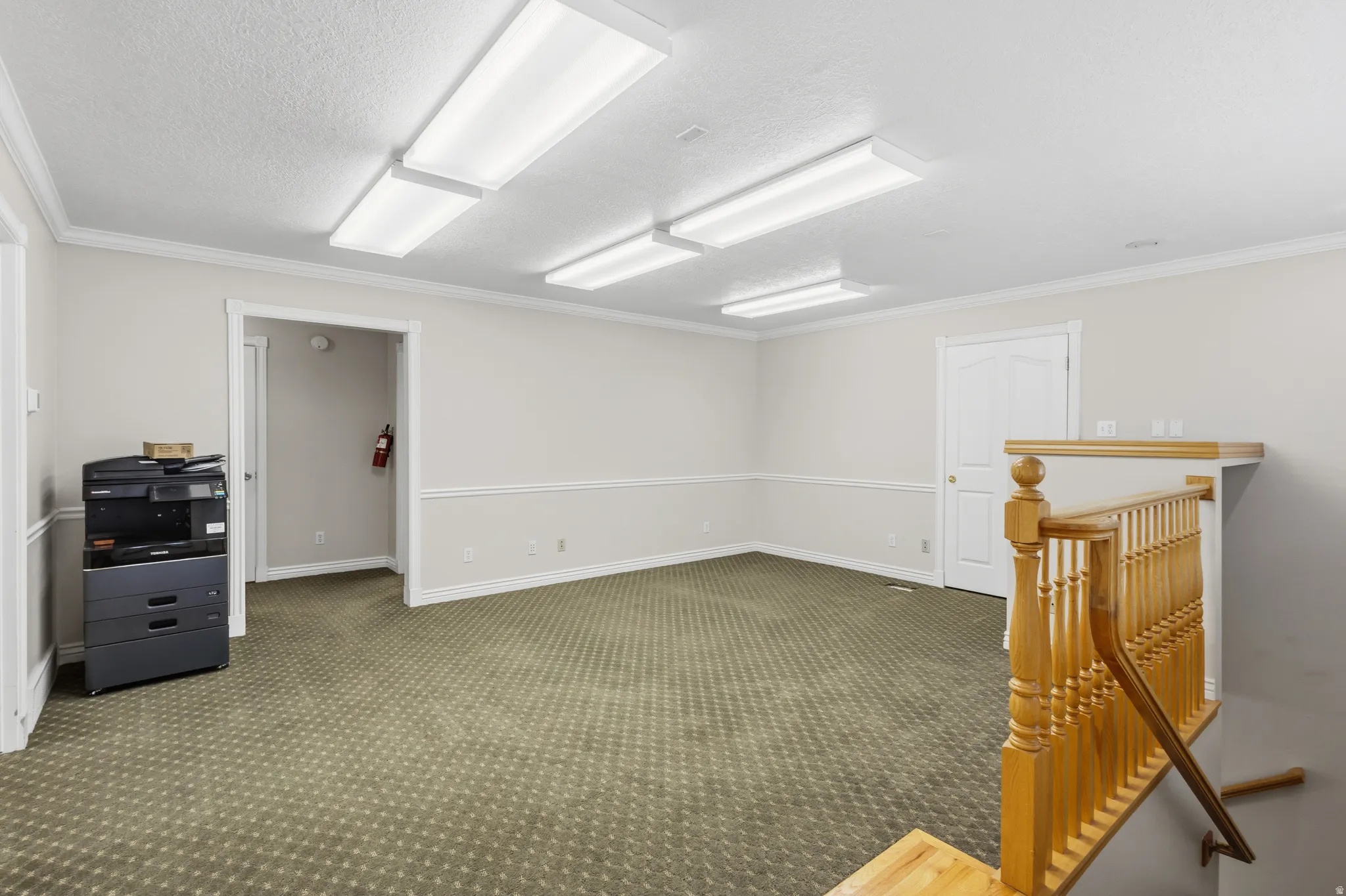Spacious interior room featuring patterned carpeting, white crown molding, and wainscoting