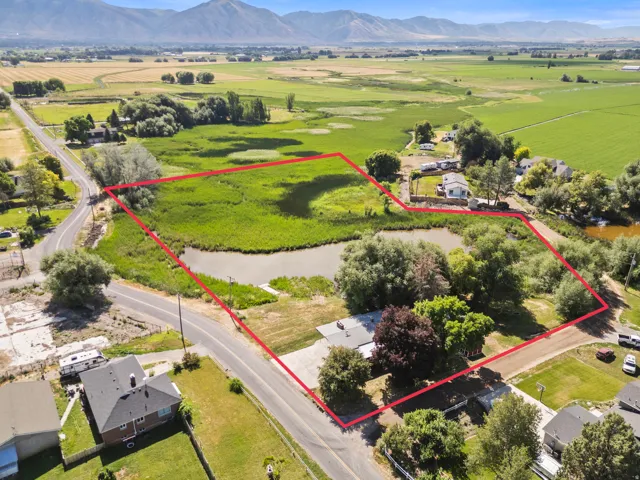 Expansive parcel featuring a natural pond, surrounding wetlands, mature trees, and a distant mountain backdrop