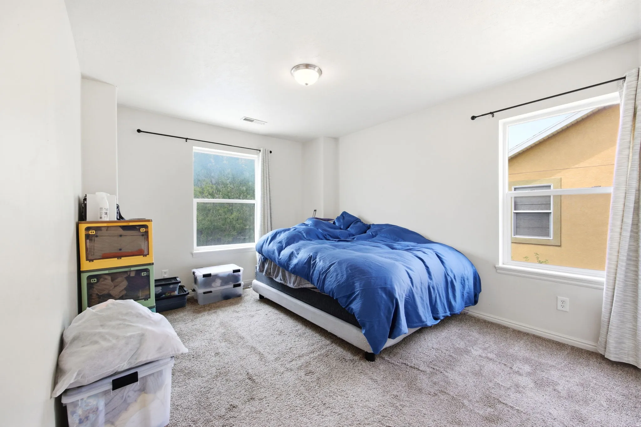 Carpeted room with a ceiling-mounted light fixture, two windows, and white walls