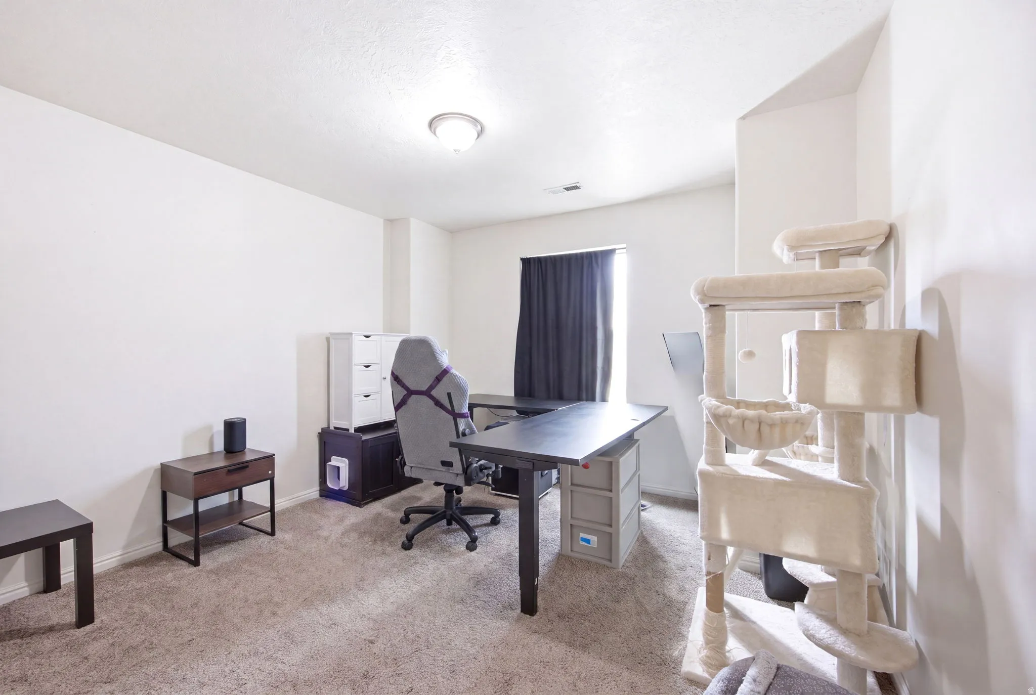 Carpeted room featuring a window with dark drapery and a ceiling-mounted light fixture