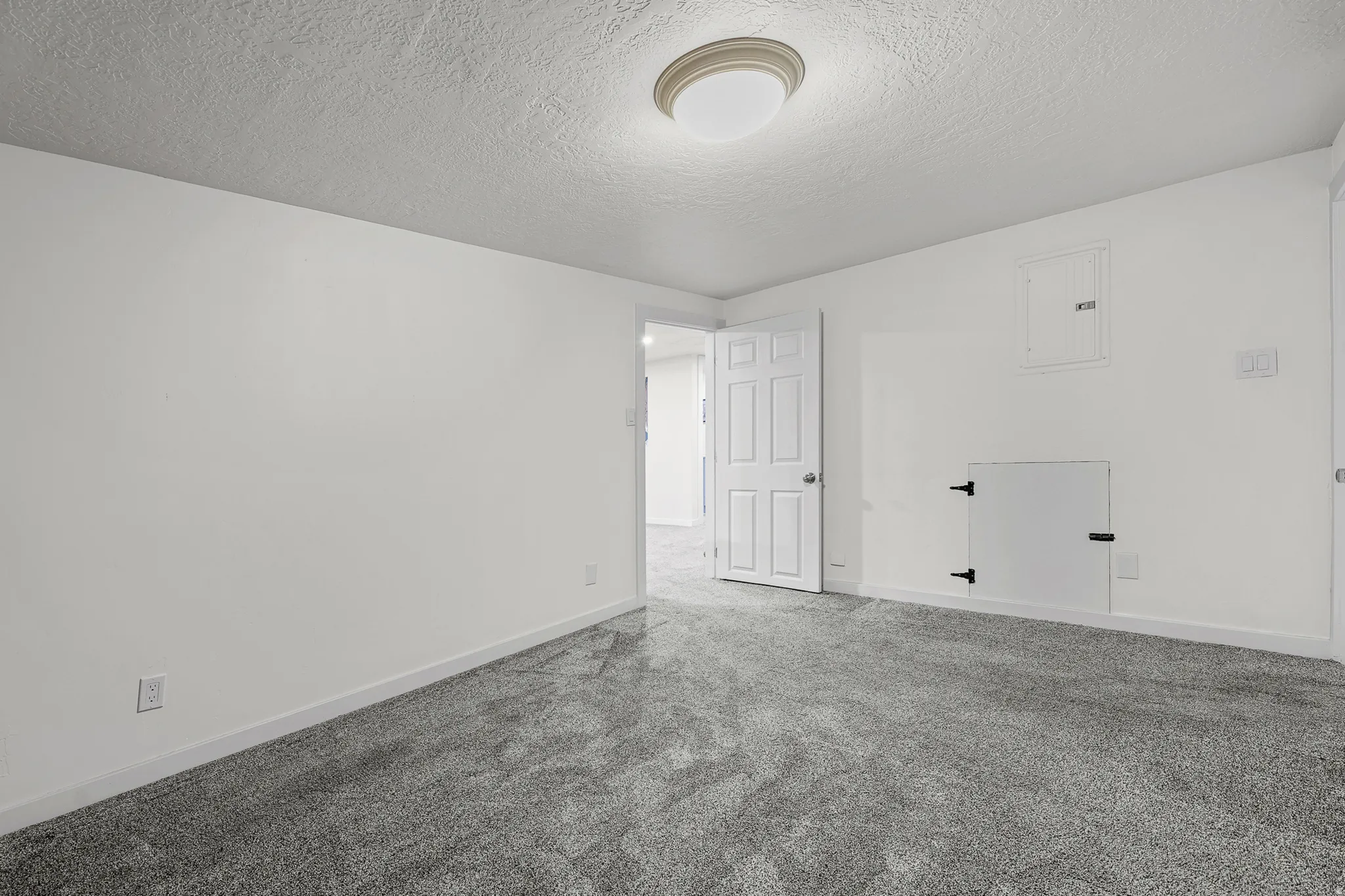 Spacious room featuring freshly painted white walls, new gray carpeting, and a white six-panel door