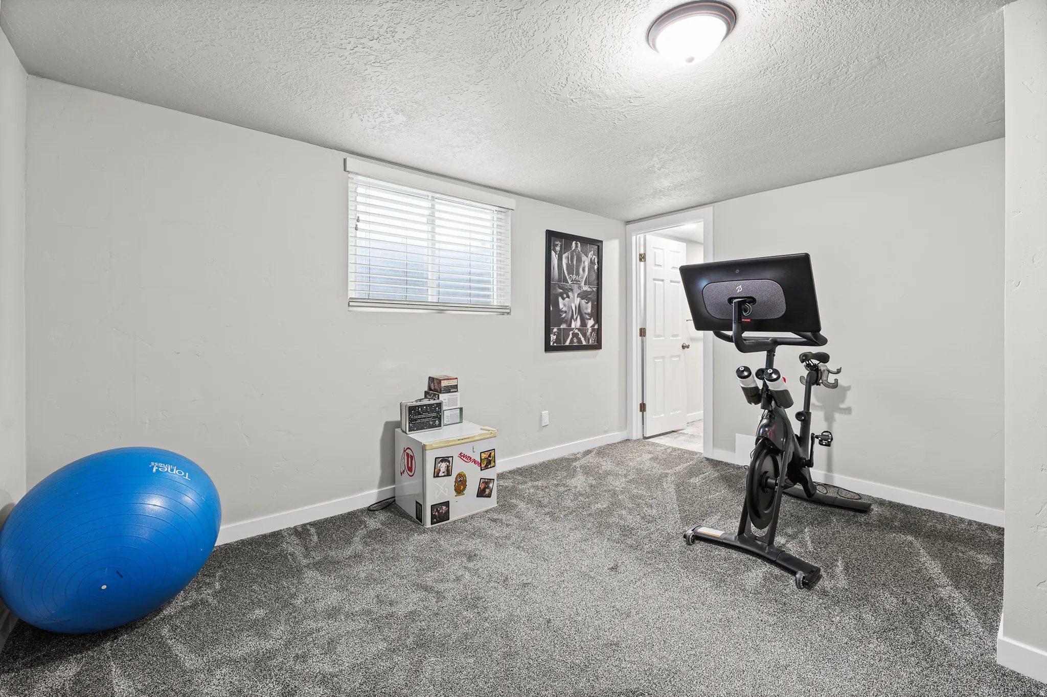 Room featuring neutral-toned walls, gray textured carpeting, and a white window with horizontal blinds